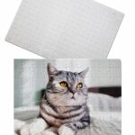 Fényképes kirakó (puzzle) szürke cirmos macskával, sárga szemekkel, puha felületen fekve.